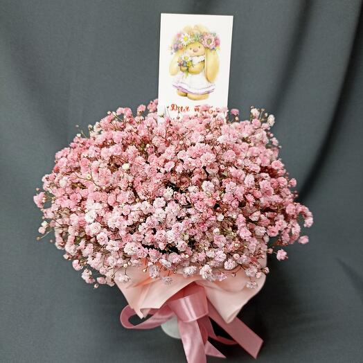 Gypsophila rosa en taza de café