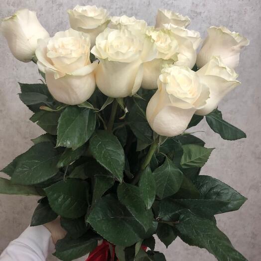 Rosas blancas
