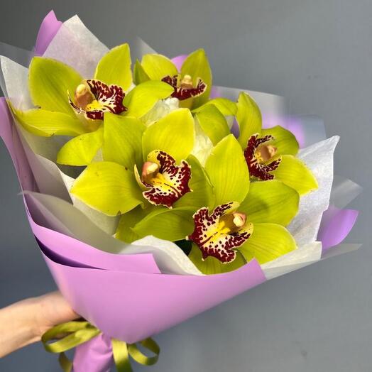 Paradise of orchids