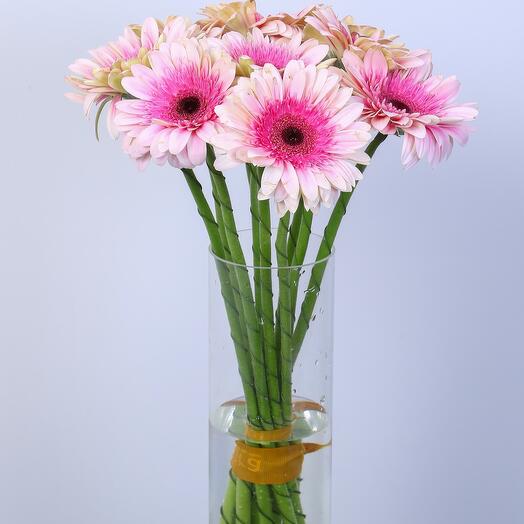 Pink Gerbera Vase