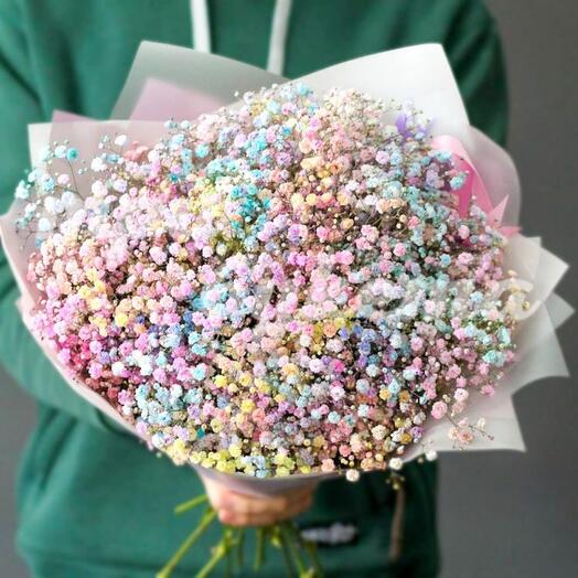 Multicolored gypsophila