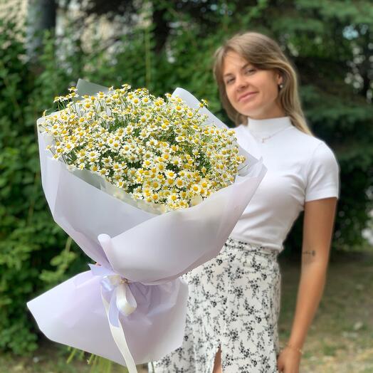 Букет полевых ромашек