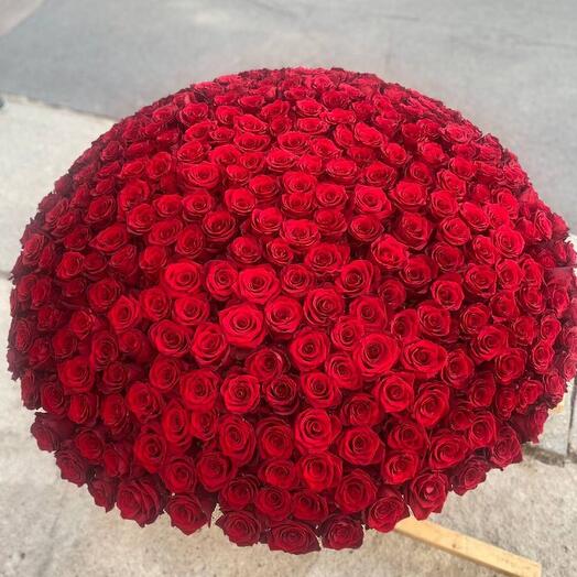 301 роза 🌹(арт.156)