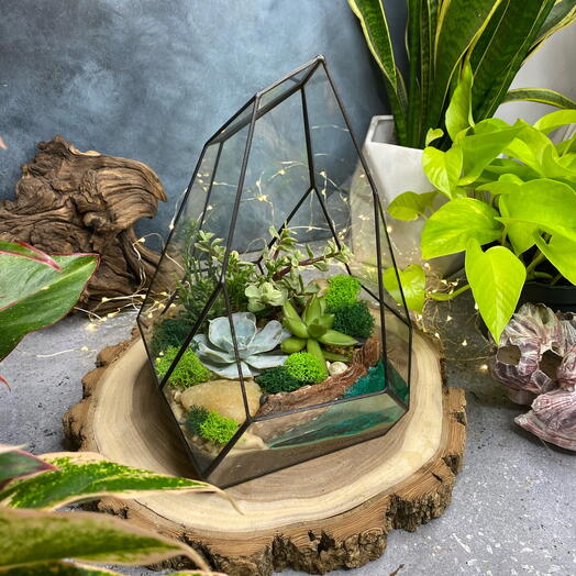 A rock with succulents and a pond