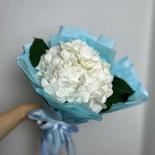Bouquet of white hydrangea