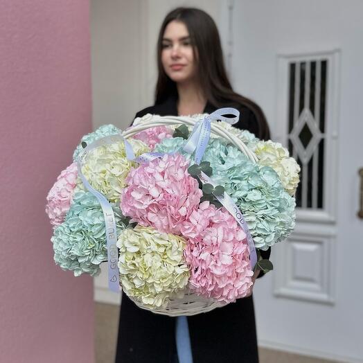 Basket of aerial hydrangeas