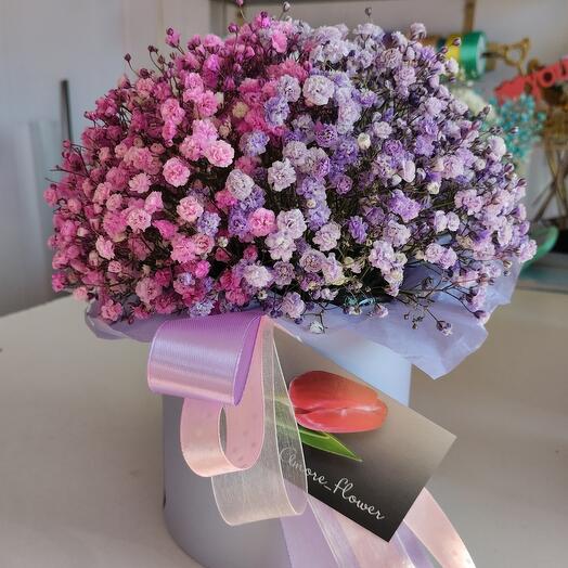 Caja de gypsophila
