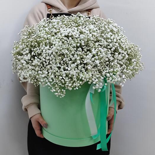 Коробка с белой гипсофилой XXXL
