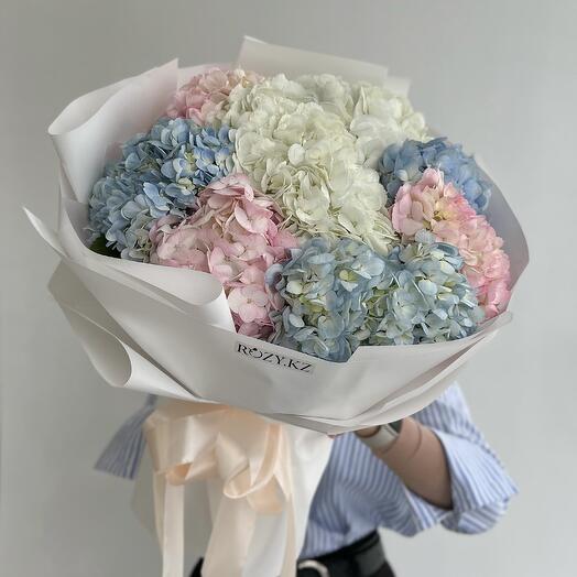 Букет из 9 гортензий