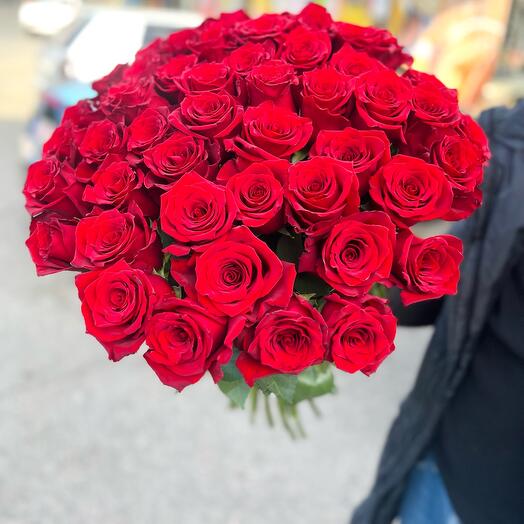 Red rose, красные розы