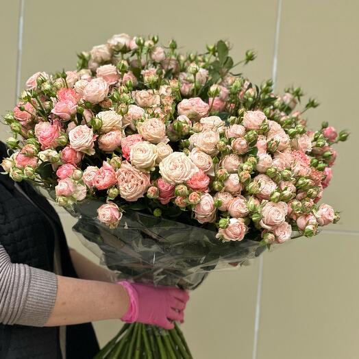КУСТАВАЯ РОЗА ПИОНАВИДНАЯ