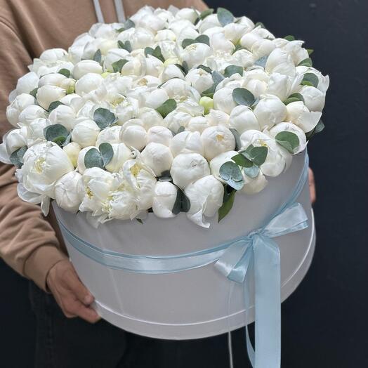 Белые пионы в белой коробке