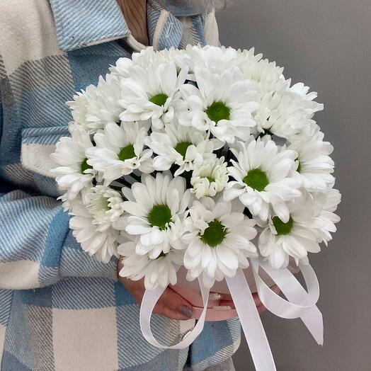 Chamomile chrysanthemum in a box