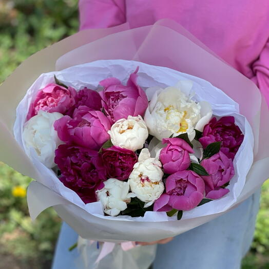 Пионы разноцветные 15 штук