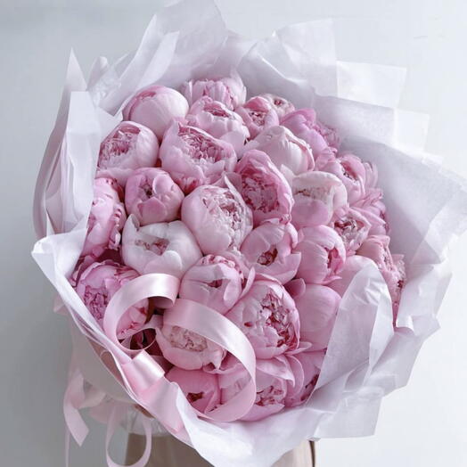 41 pink piones