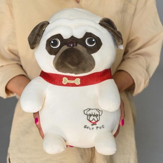 Собака Мопс