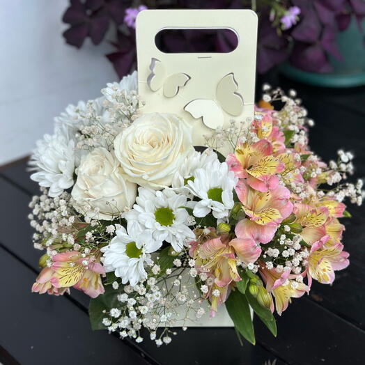 Butterfly box