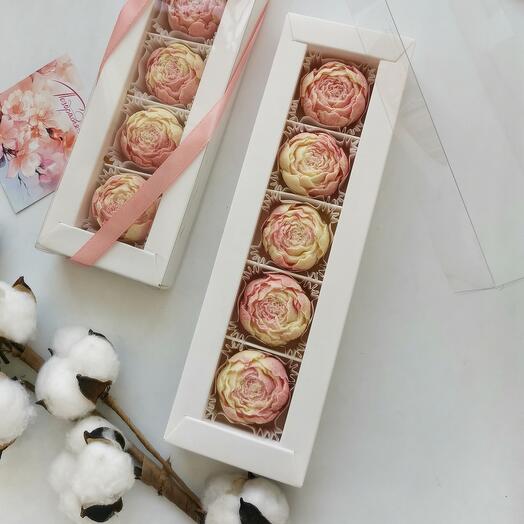 Juego de 5 rosas de peonía de chocolate belga