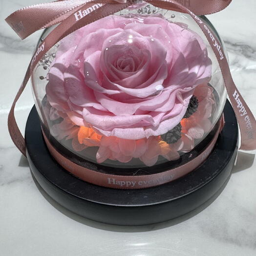 Eternal Pink with Light: Pink Infinity Rose with LED Light (Battery Included)