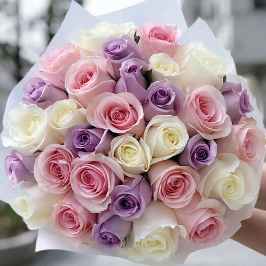 36 Mixed Roses