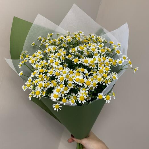 Daisies