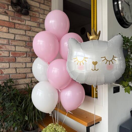 Набор шаров Кошечка