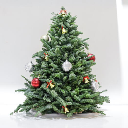 Christmas Tree 70-55 cm