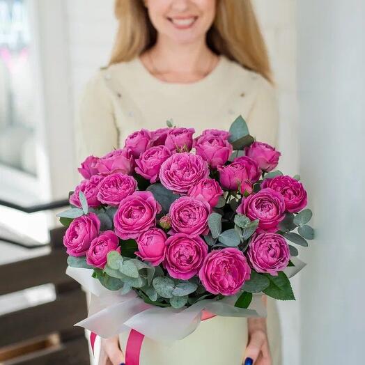Коробочка с Мисти