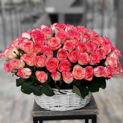 101 pink Jumilia roses in a basket