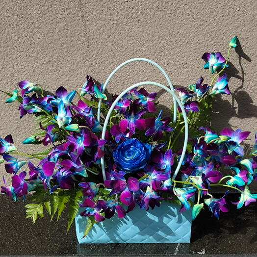 Orchids in a Bag; 20 Stems of blue orchids and 1 blue spray rose