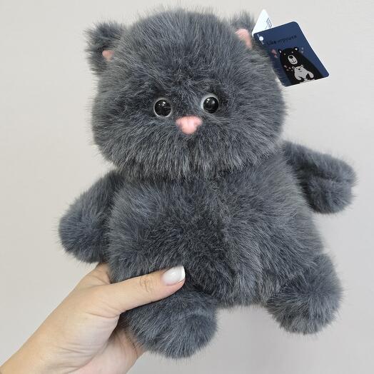 Котик пузатик
