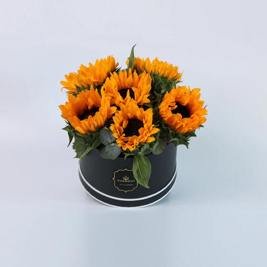 Sunflower Box