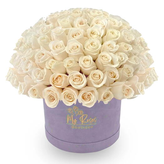 Light Purple Velvet Box With 100 White Roses