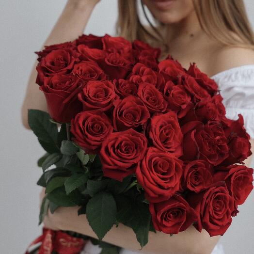 Роза Голландия красная