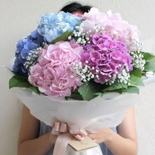 10 Mixed Color Hydrangeas Bouquet