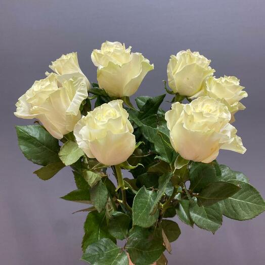 7 premium white roses for ribbon