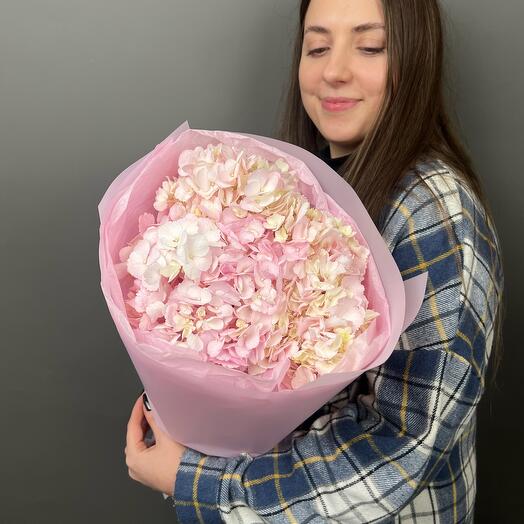 Монобукет из 3 персиковых Гортензий