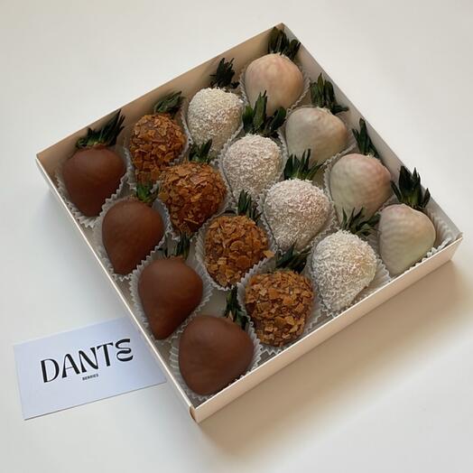 Fresas cubiertas de chocolate (028)
