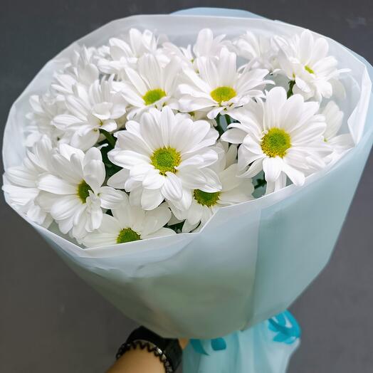 Bacardi Bush Chrysanthemums