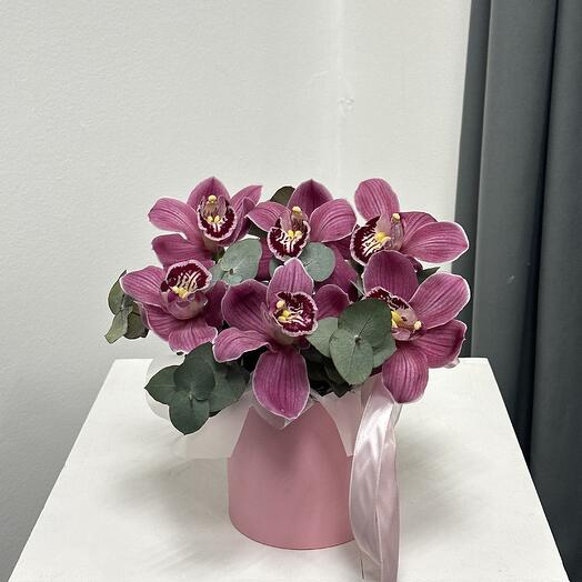 Orchids in a box