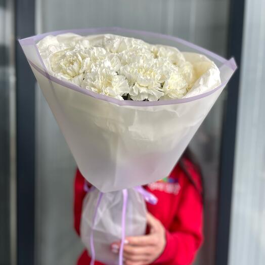 Dianthus Blancanieves