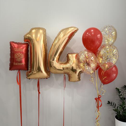 Шары паспорт