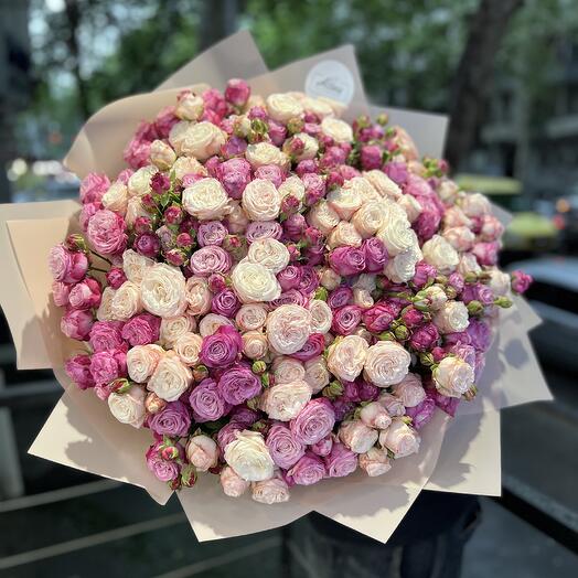 Spray rosess🌸