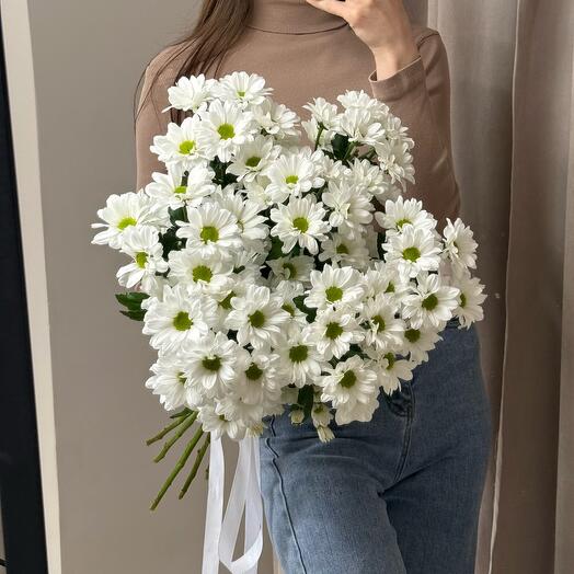 Хризантема кустовая (7 ромашек)