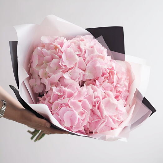 Hydrangea Pink Cloud