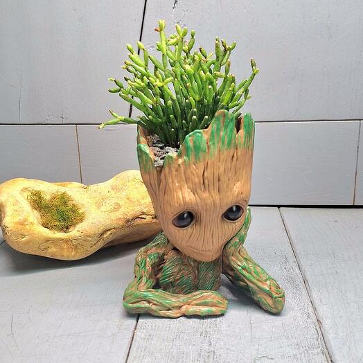 Грут с рипсалесом