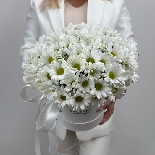Цветы в коробке «Ромашковое поле» 🤍 Камелия Flowers Shop
