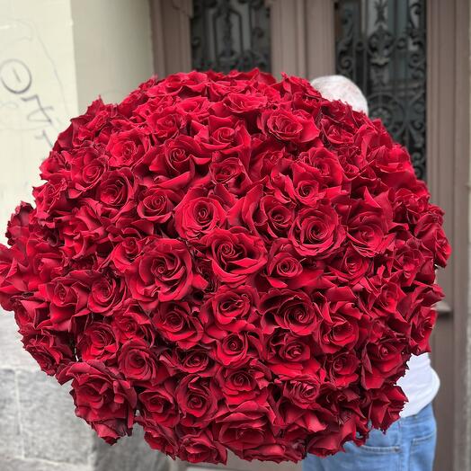 101 French roses