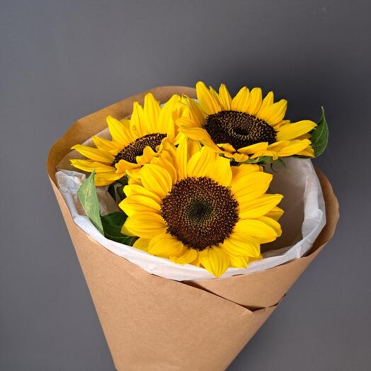 Summer bouquet of Sunflowers