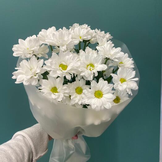 Букет из хризантем сорта кенеди